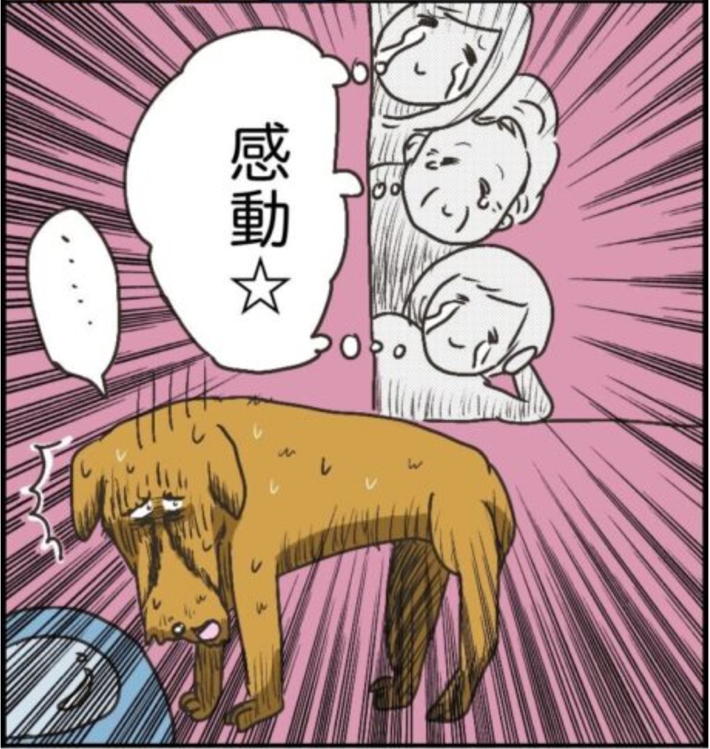 https://sub.reacomi.com/08_ソラの犬漫画_r_スクリーンショット 2023-05-31 15.02.41.jpg